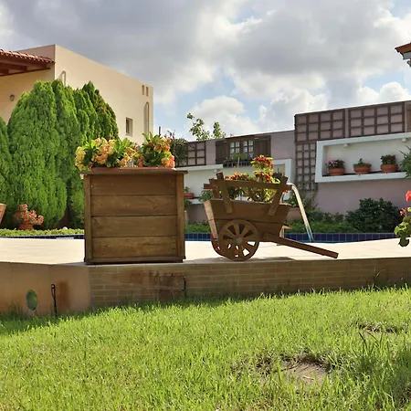 Olive Crete Гостьовий будинок