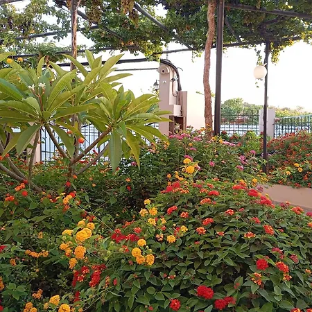 Olive Crete Гостьовий будинок Ретимно (Крит)