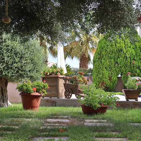 Olive Crete 4*