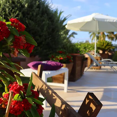 Olive Crete 4*
