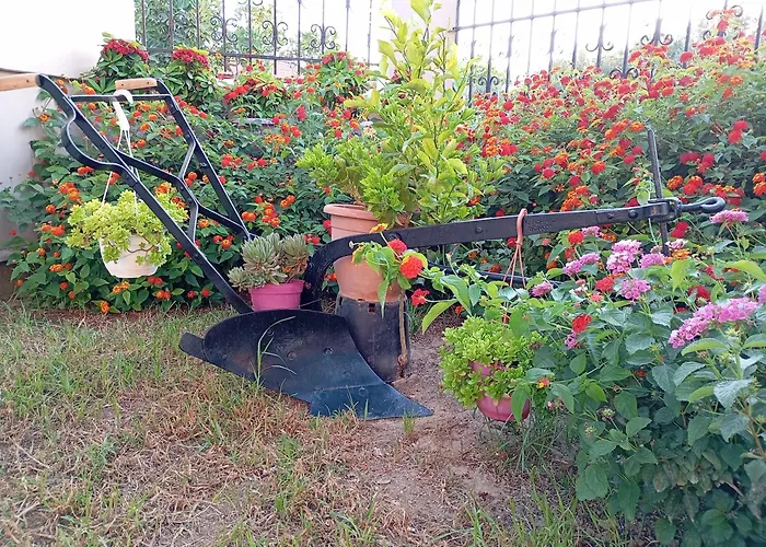 Olive Crete 3* Ретимно