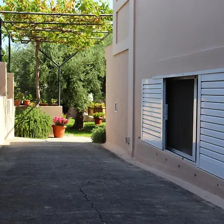 Olive Crete Réthimno