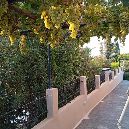 Vendégház Olive Crete