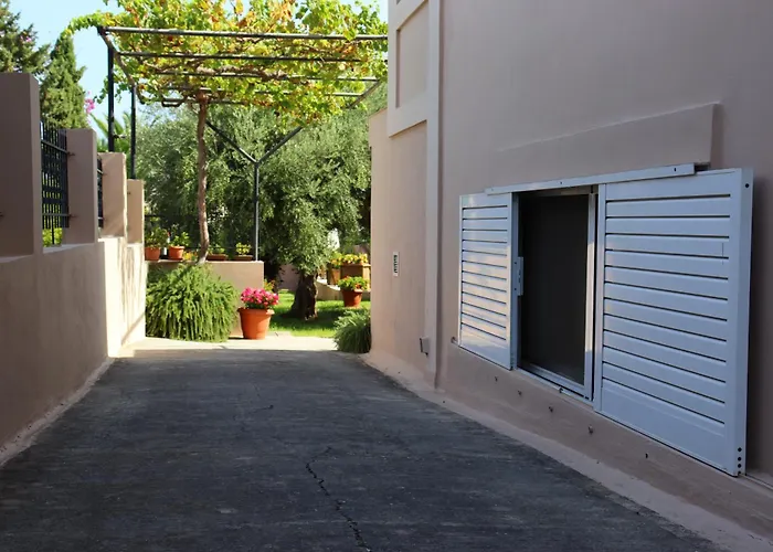 Olive Crete Rethymno