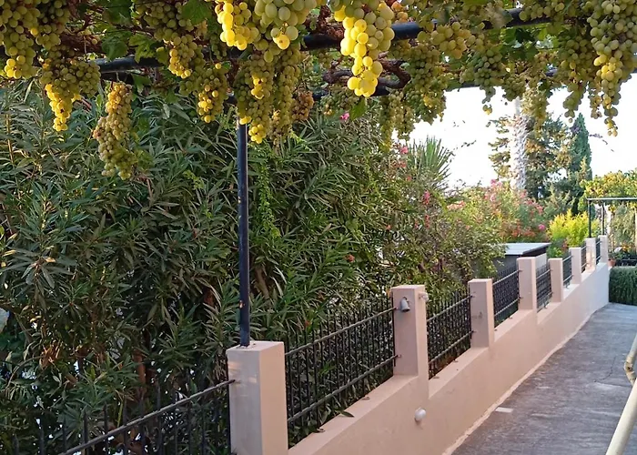 Affittacamere Olive Crete