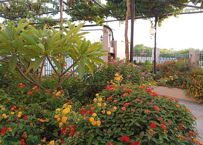 Olive Crete Affittacamere Rethymno